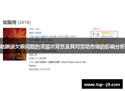 赵鹏谈欠薪问题的深层次背景及其对劳动市场的影响分析