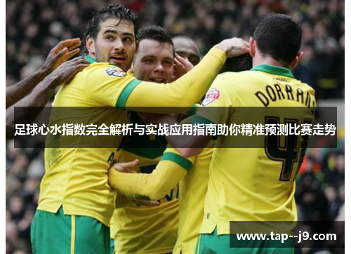 足球心水指数完全解析与实战应用指南助你精准预测比赛走势